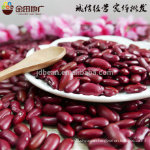 Dark Red Kindey Bean With Good Quality Best Price